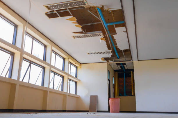 Best Flood damage cleanup  in Los Altos, CA