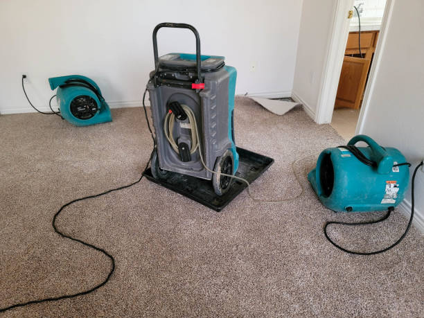 Best Water damage contractors near me  in Los Altos, CA