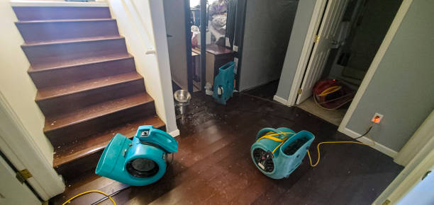 Best Water damage restoration process  in Los Altos, CA