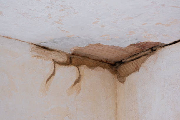 Best Water damage restoration services  in Los Altos, CA