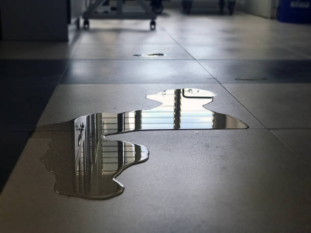 Best Local water damage restoration  in Los Altos, CA