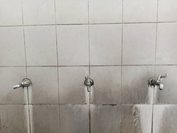 Best Local water damage restoration  in Los Altos, CA