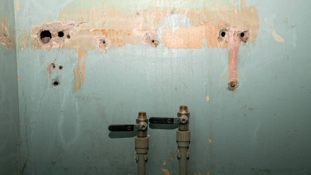 Best Flooded house restoration  in Los Altos, CA