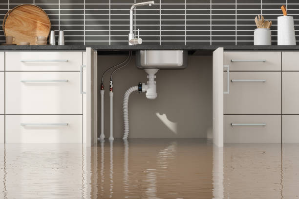 Best Fire Damage Restoration  in Los Altos, CA