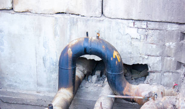 Best Water damage cleanup near me  in Los Altos, CA